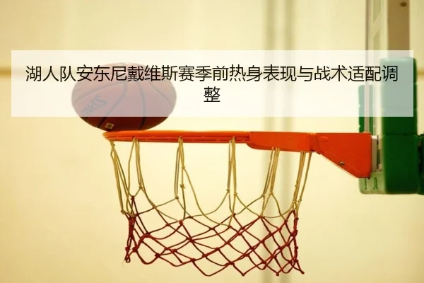 湖人队安东尼戴维斯赛季前热身表现与战术适配调整